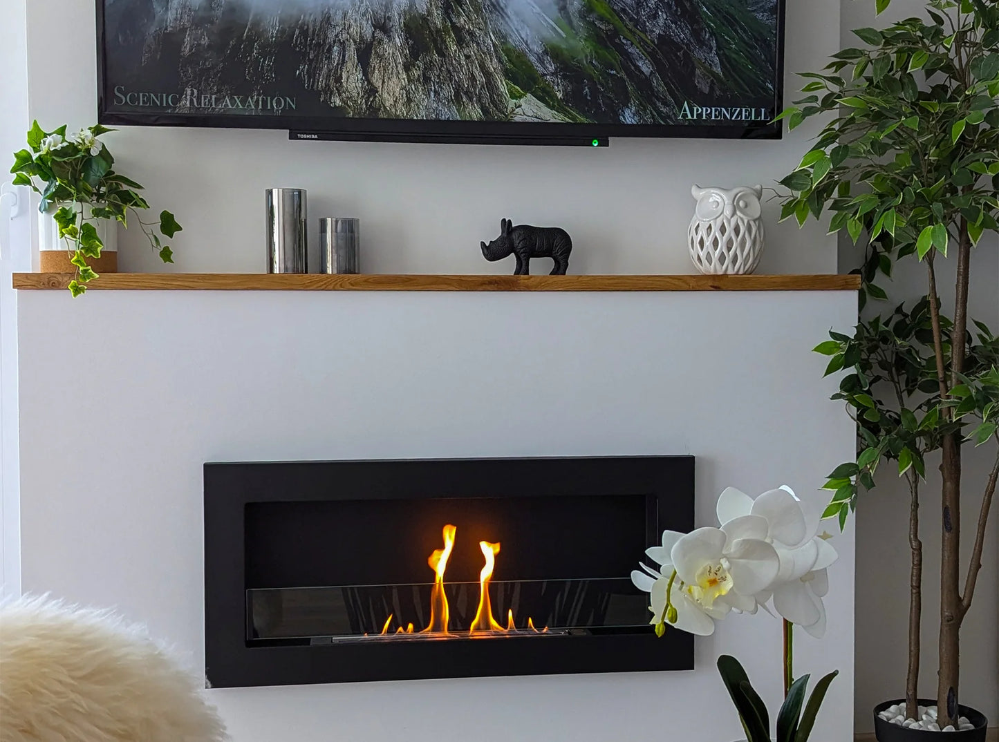 Wandbiokamin 900x400 SLIM (mit Glas)