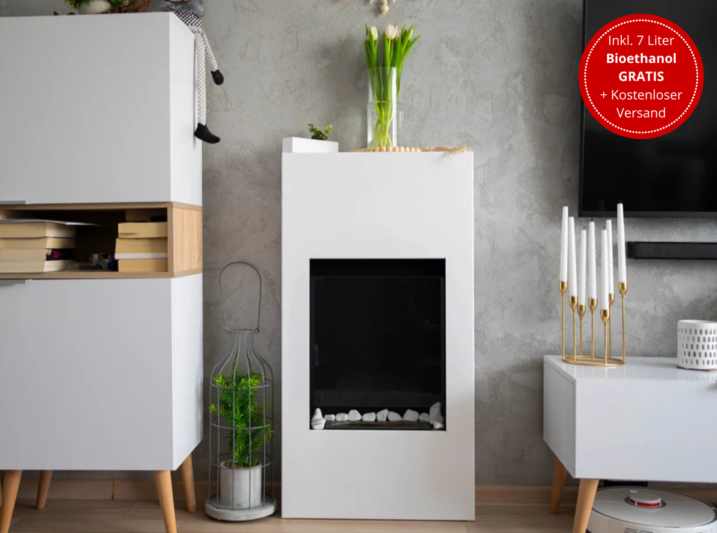 Portal-Biokamin Modern
