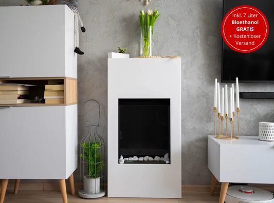 Portal-Biokamin Modern