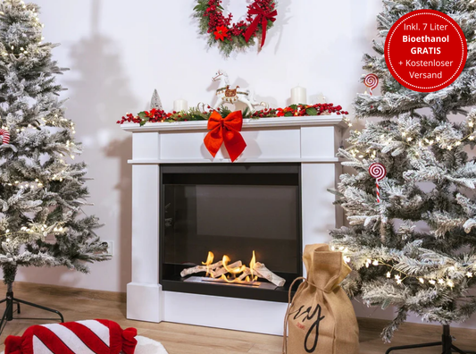 Portal-Biokamin Koloseum Pula (mit Glas)