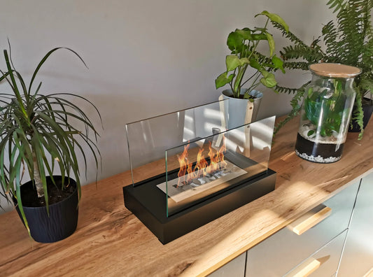 Schutzglas-Set für Home (2 Stück)